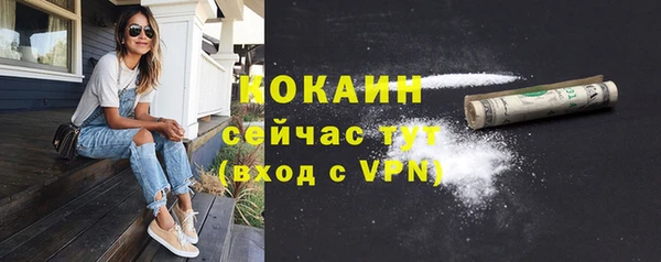 эйфоретик Бородино