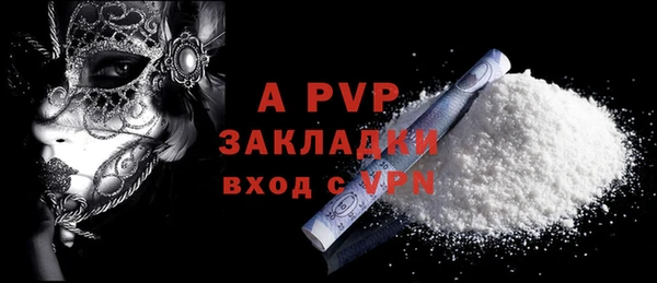 эйфоретик Бородино