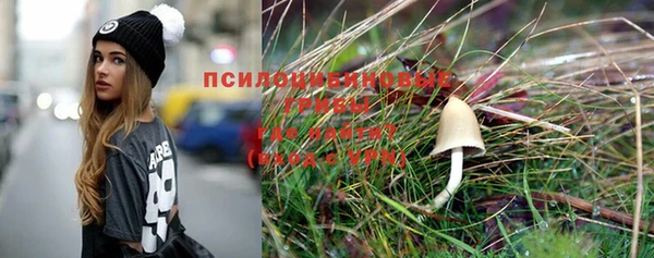 ешки Бугульма