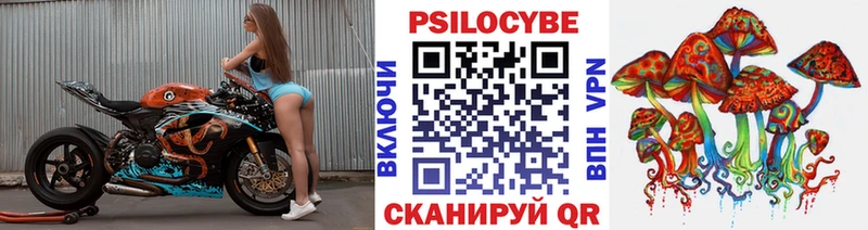 Псилоцибиновые грибы Psilocybine cubensis  как найти наркотики  blacksprut онион  Вельск 